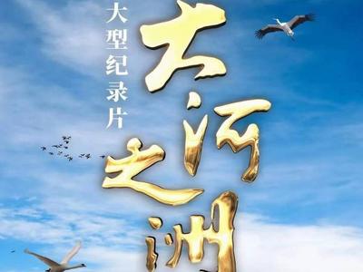 火到国外！这部展现黄河入海口风貌的纪录片也太赞了，快追！