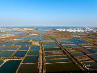 虾蟹池？几何油画？耳河村养殖基地的绝美航拍