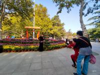 海泊河公园：秋日赏菊，“不一样的烟火”