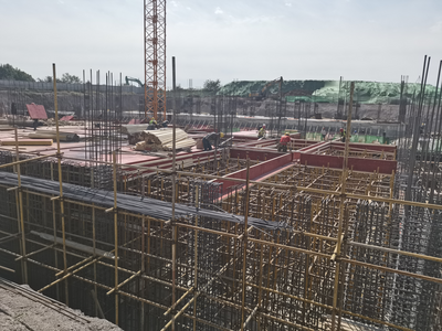 提供一站式血栓检测解决方案，青岛这一医疗健康产业园年底前封顶