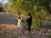主打齐长城文化，青岛这座文化公园“火”了