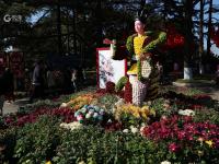 错过等一年！中山公园菊展时间过半，速来