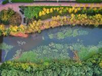 秋天的N种颜色 | 李村河畔，美呆了