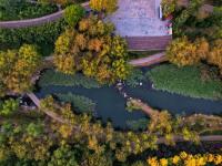 秋天的N种颜色 | 李村河畔，美呆了