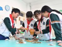 世界中医药日，孩子们学习捣药、制香囊……