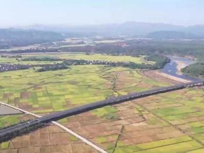 谷物基本自给、口粮绝对安全，中国人的饭碗这样端牢