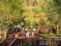 竹子庵公园：紫竹幽谷，入园赏秋正当时