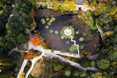 打翻了颜料盒？航拍中山公园多彩秋景