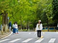 秋景上线，八大关开启“童话世界”模式