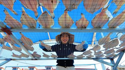 崂山码头：人间至味是鲜咸