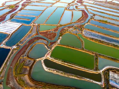 虾蟹池？几何油画？耳河村养殖基地的绝美航拍