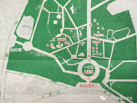 44年前的中山公园菊展啥样？戳图，感受“回忆杀”