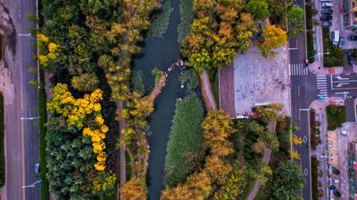 秋天的N种颜色 | 李村河畔，美呆了