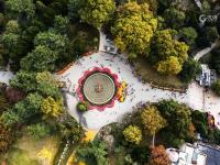 打翻了颜料盒？航拍中山公园多彩秋景