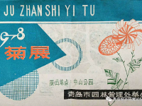 44年前的中山公园菊展啥样？戳图，感受“回忆杀”