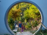 竹子庵公园：紫竹幽谷，入园赏秋正当时