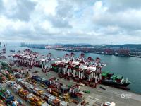 实拍青岛港：有一种繁忙，叫“车船如织”