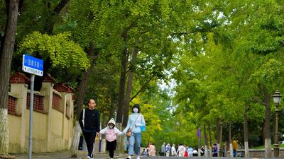 秋景上线，八大关开启“童话世界”模式