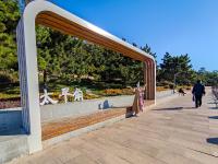 青岛最最最新上线的“观海打卡地”，是TA？