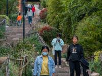 竹子庵公园：紫竹幽谷，入园赏秋正当时