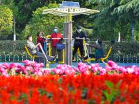 海泊河公园：秋日赏菊，“不一样的烟火”