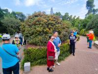 中山公园：有种秋天，叫“桂花十里香”