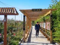 产业兴，农民富，乡村美！看，南官庄村