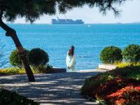 青岛最最最新上线的“观海打卡地”，是TA？