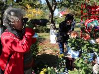 “全民摄影师”上线！中山公园进入“赏菊时间”