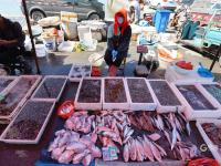 渔港实拍：亲民价小海鲜出没！吃货们注意