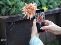 “全民摄影师”上线！中山公园进入“赏菊时间”