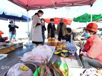 崂山码头：人间至味是鲜咸