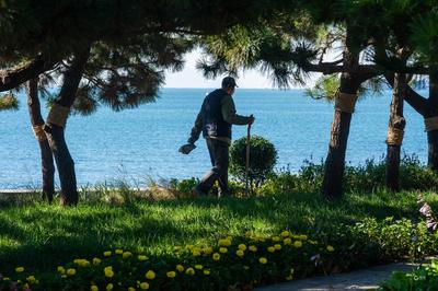 市北区这个地块控规调整，未来将打造滨海公园绿地标志性节点