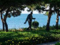 青岛最最最新上线的“观海打卡地”，是TA？