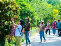 中山公园：有种秋天，叫“桂花十里香”