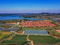 产业兴，农民富，乡村美！看，南官庄村