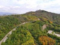 秋天的N种颜色 | 象耳山，红黄绿