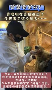 还是老家好！黄晓明在青岛逛恣了