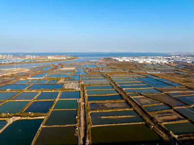 虾蟹池？几何油画？耳河村养殖基地的绝美航拍