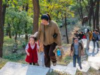 竹子庵公园：紫竹幽谷，入园赏秋正当时