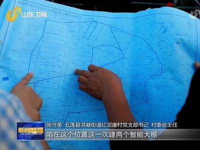 二十大代表风采｜张守英：当好乡村振兴“领头雁”