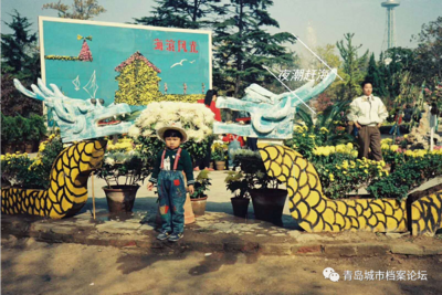 44年前的中山公园菊展啥样？戳图，感受“回忆杀”