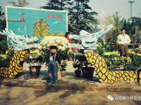 44年前的中山公园菊展啥样？戳图，感受“回忆杀”