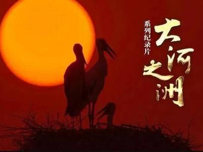 闪电评论｜山东版人与自然！《大河之洲》重现万物共生的美好