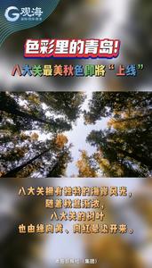 色彩里的青岛！八大关最美秋色即将“上线”