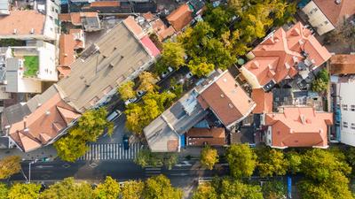 青岛老城这条“小众银杏路”颜值爆表