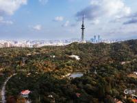 打翻了颜料盒？航拍中山公园多彩秋景