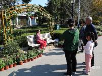 错过等一年！中山公园菊展时间过半，速来