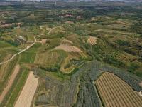 宝山出“宝果”！青岛的明月苹果丰收啦，上镜头|兴农记⑥