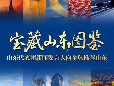 山东代表团新闻发言人深情推介山东​！请看这份“宝藏山东图鉴”